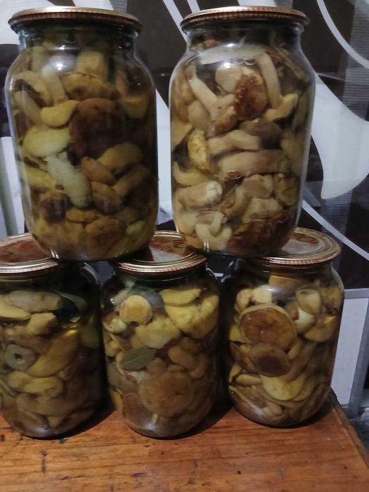 Гриби мариновані лисички