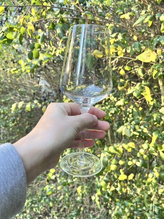 Бокали для вина Villeroy&Boch