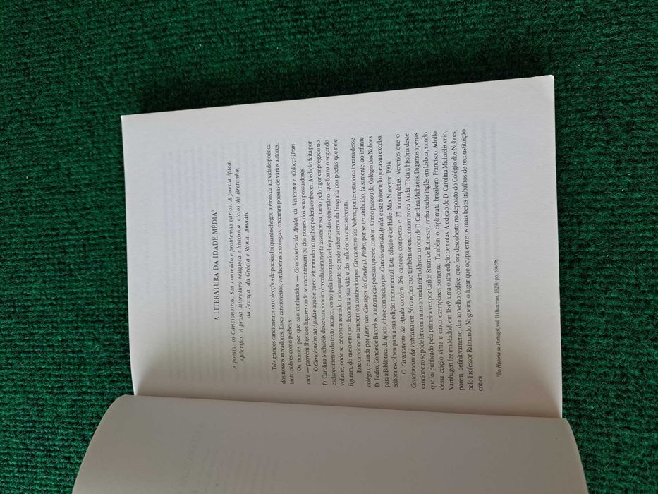 Estudos e Controvérsias (Língua e Lit. Portuguesa) - Teixeira Rego