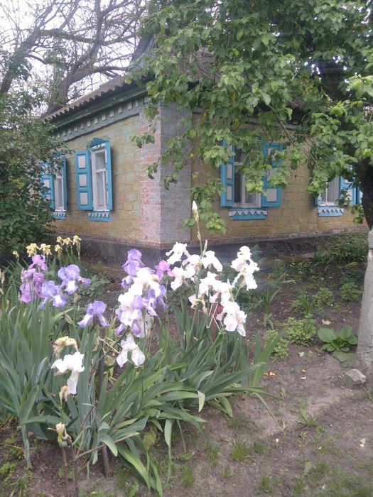 Продам будинок в с. Микільське