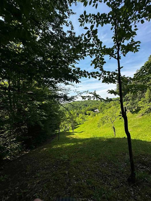 Продається старий будинок з великою земельною ділянкою