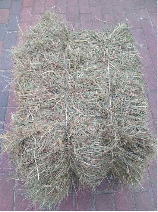 Siano w kostkach Kostki siana bez użycia nawozów sztucznych