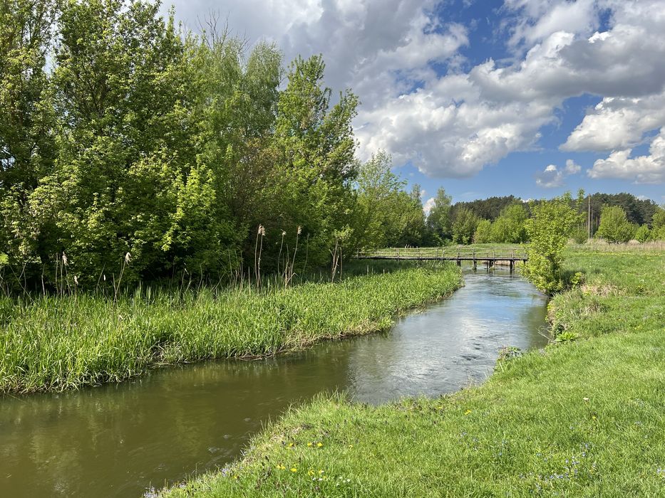 Будинок в селі Острів  поруч сосновий ліс та річка