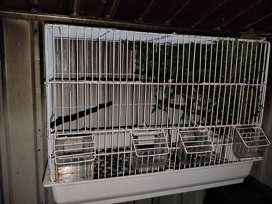 Vendo ou troco viveiro