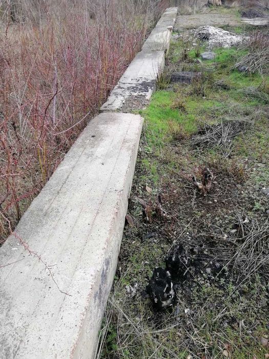 Продам бетонные блоки 400х74х74см