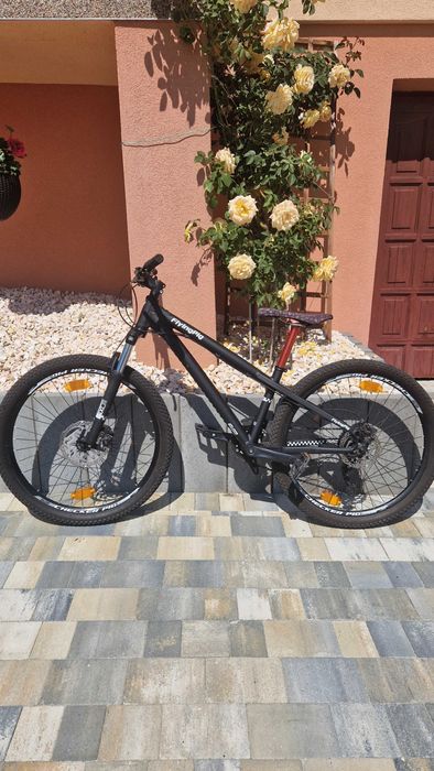 Dirt Checker Pig Flying Pig 26"