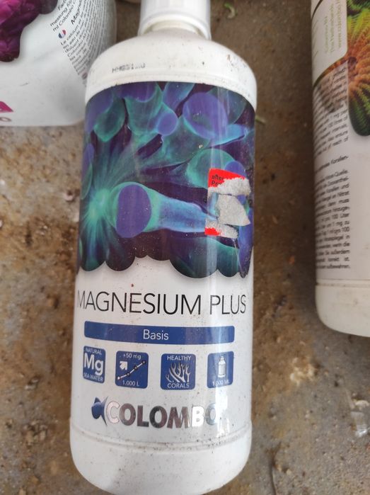 Colombo do akwarium morskiego