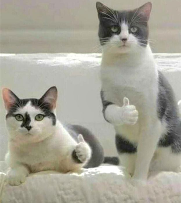 Комната с ремонтом