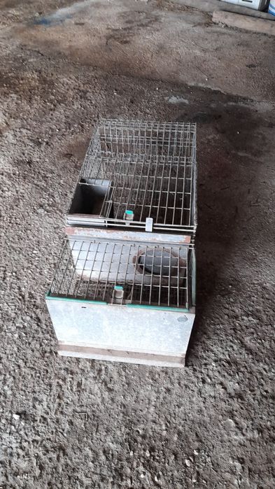 Gaiolas jaulas criacao coelhos