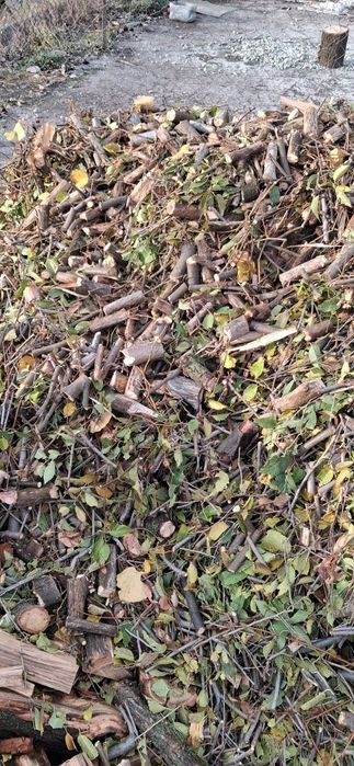 Продажа дров Запорожье Дуб Окация Ясень