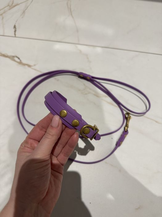 Obroża i smycz z biothane charcik