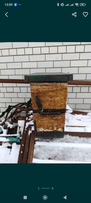 Вулик- роєвня на 6 рам