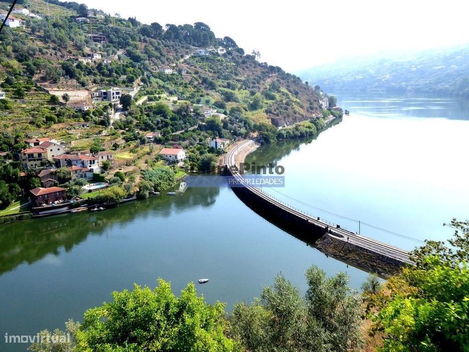 34.000m2 de terreno (Quinta) e 2 Ruínas a 8 minutos do Rio Douro. P...