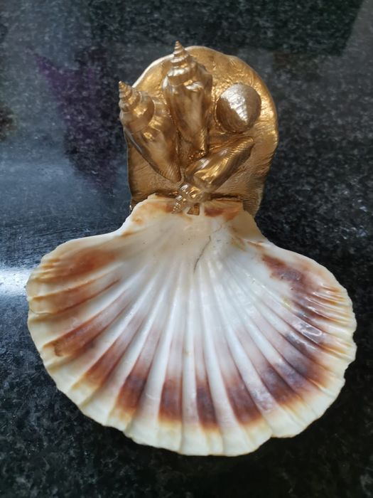 Conchas de decoração