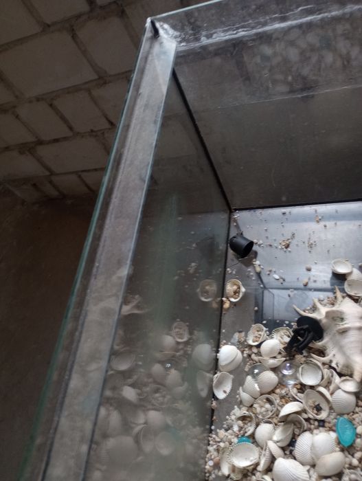 Акваріум. Цілий.