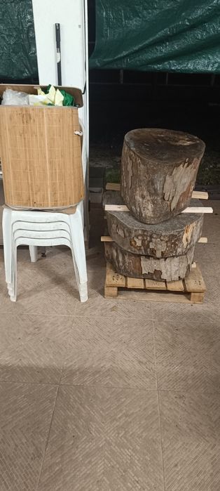 Toros de madeira,ideais para fazer mesas ou peças