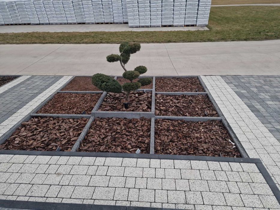 Kor-Drew Kora sosnowa luzem z dostawą na terenie całego kraju min.95mp