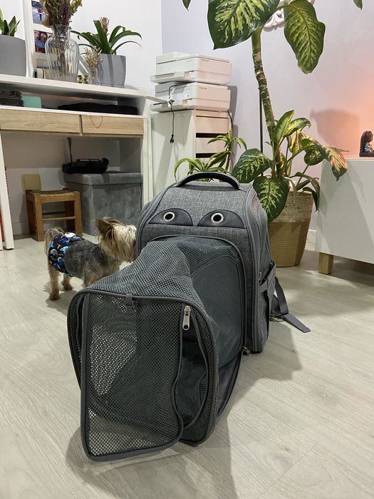 Mochila para transportar cão