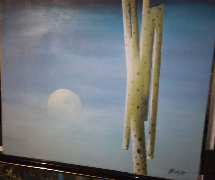 Pintura várias do Paulo Vale