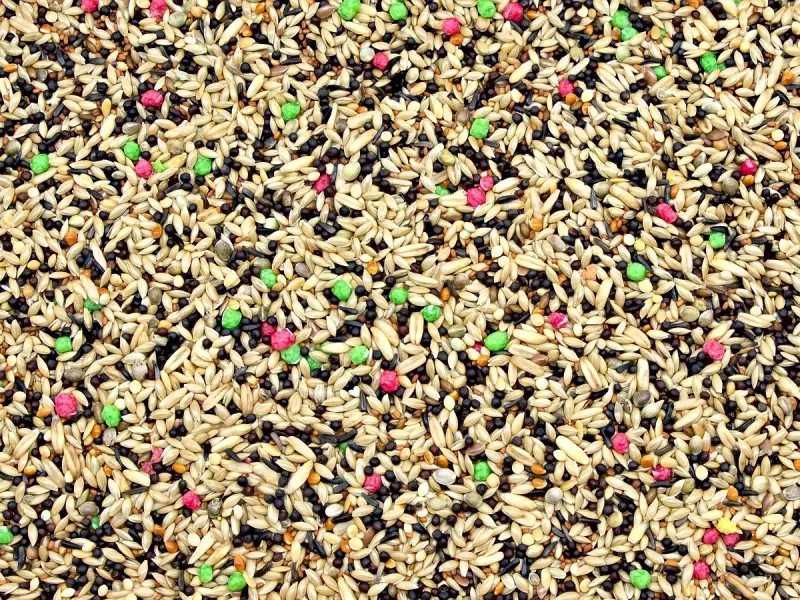 Karma dla kanarków Colormix Premium KCP 10kg Kampol