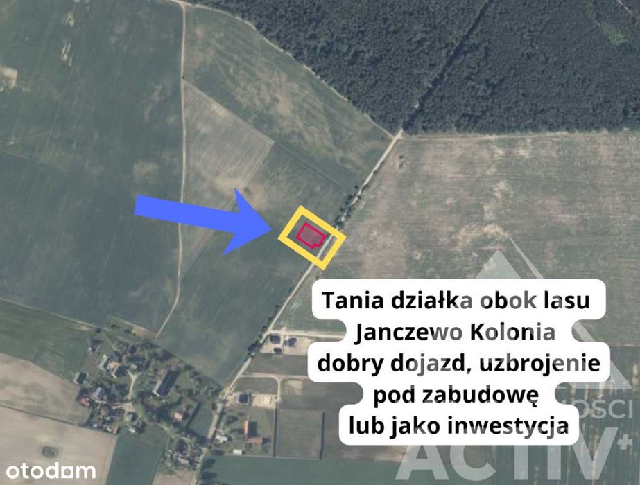 Tania działka budowl. obok lasu. Janczewo Kolonia