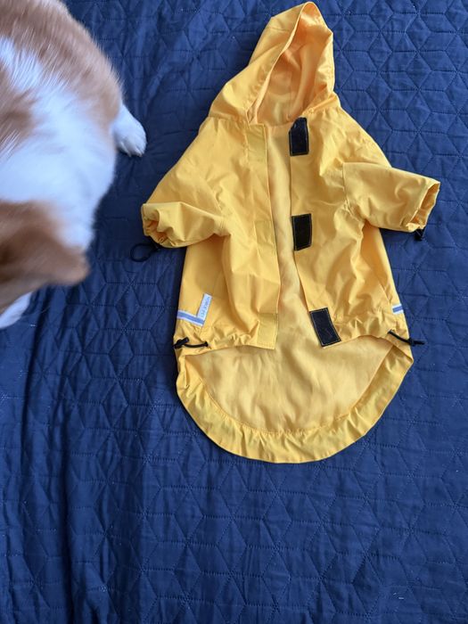 Дощовик для собаки xl-long