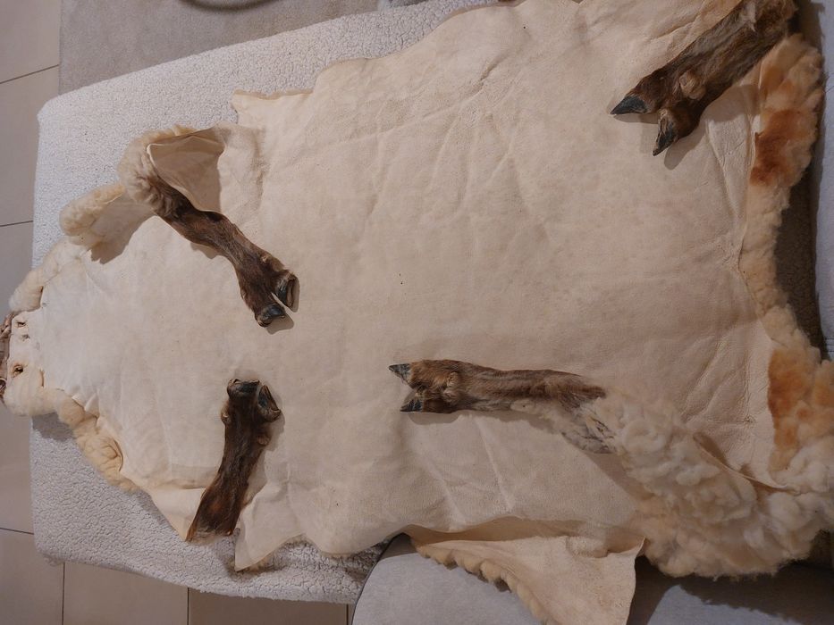 Pele de Ovelha Natural com Patas e Cabeça