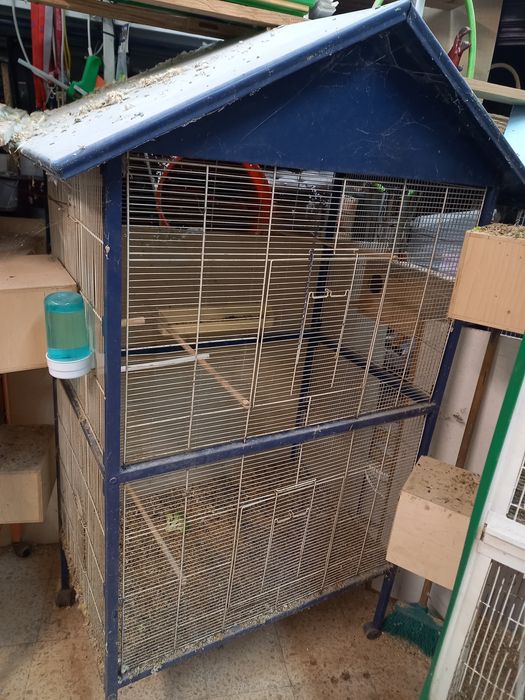 Viveiros vários com divisória