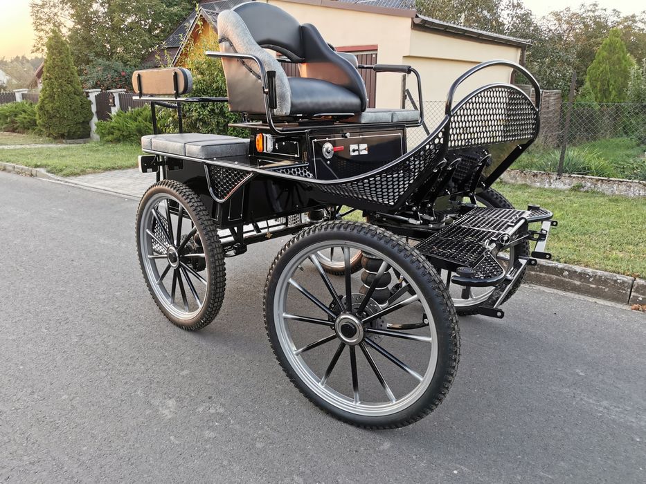 Bryczka maraton trening