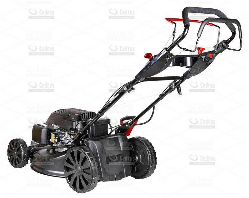 Kosiarka spalinowa Cedrus KS53S-E elektryczny rozrusznik