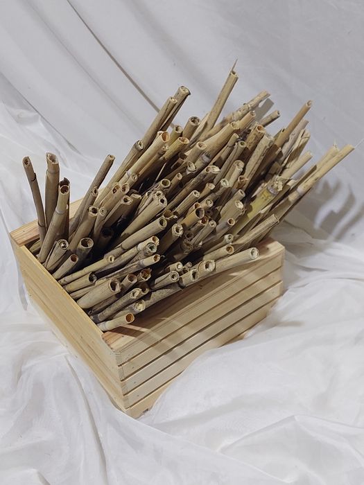 Трубочки для Осмії бджоли палички очерету будинок для комах вулики