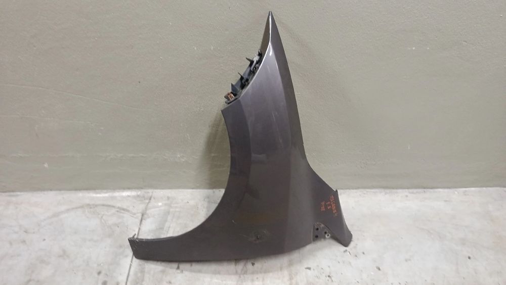 Guarda-lamas esquerdo RENAULT Megane III (BZ0_)