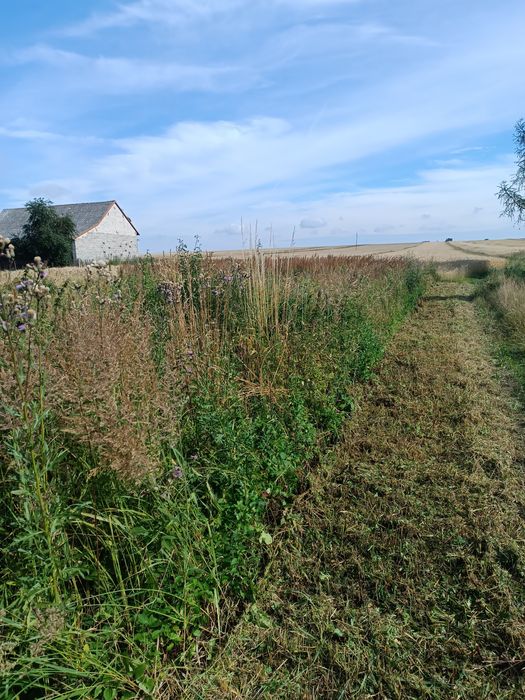 Koszenie nieużytków trawy, bijakowa kosiarka, karczowanie, wycinka,itd