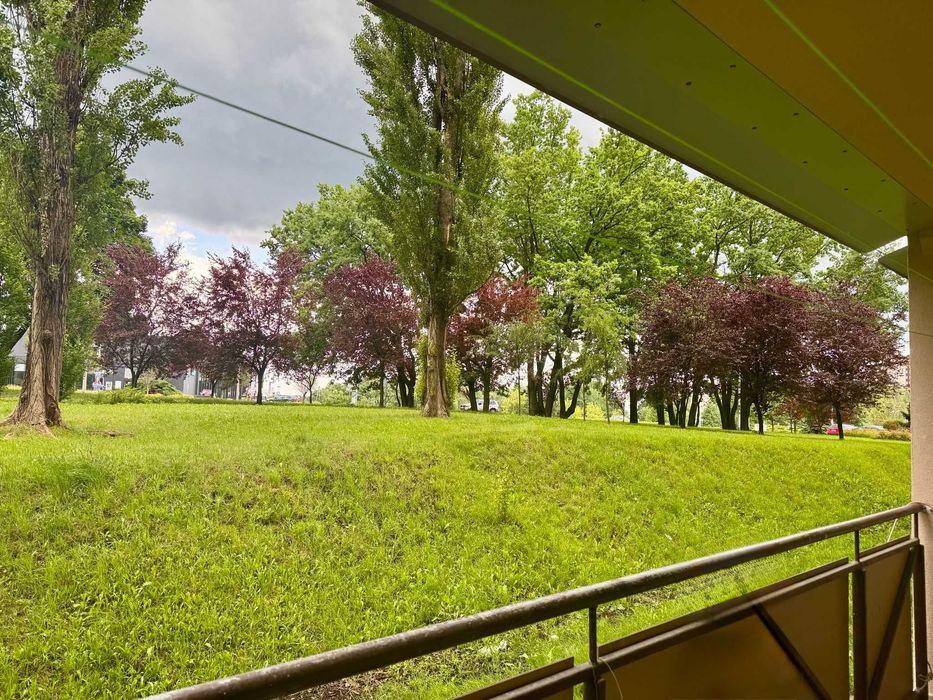 BEZ POSREDNIKÓW |3 pokoje | 56 m² | Parter | Centrum - ul. Katowicka | Widok na zieleń | Do remontu