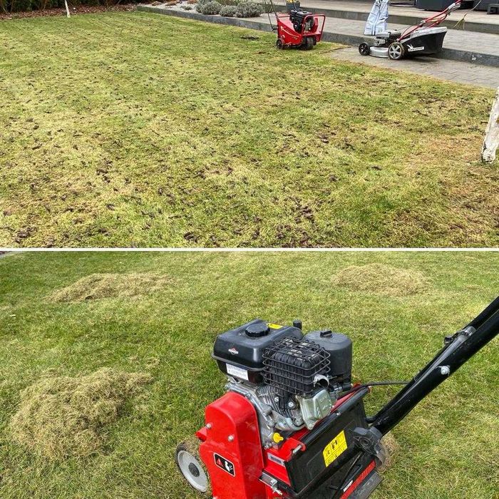 Zakładanie i pielęgnacja trawników