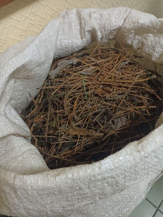 Хвойний опад (мульча)