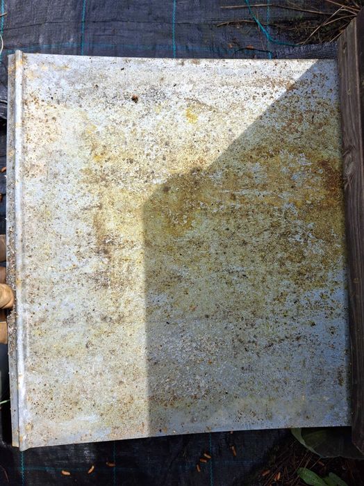 Ácaro da Varroa - Tiras Ácido Oxálico