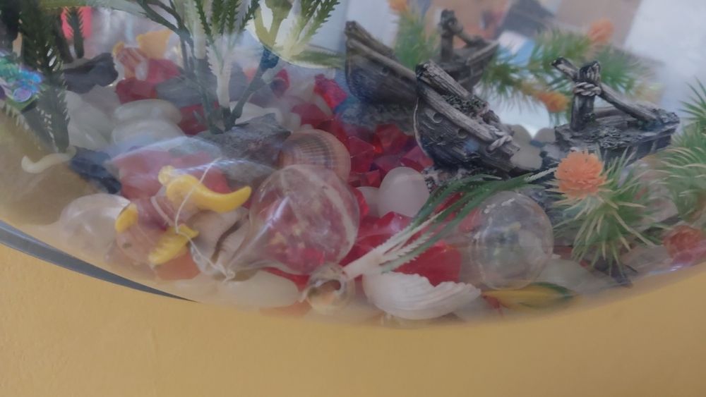 Duże akwarium na ścianę