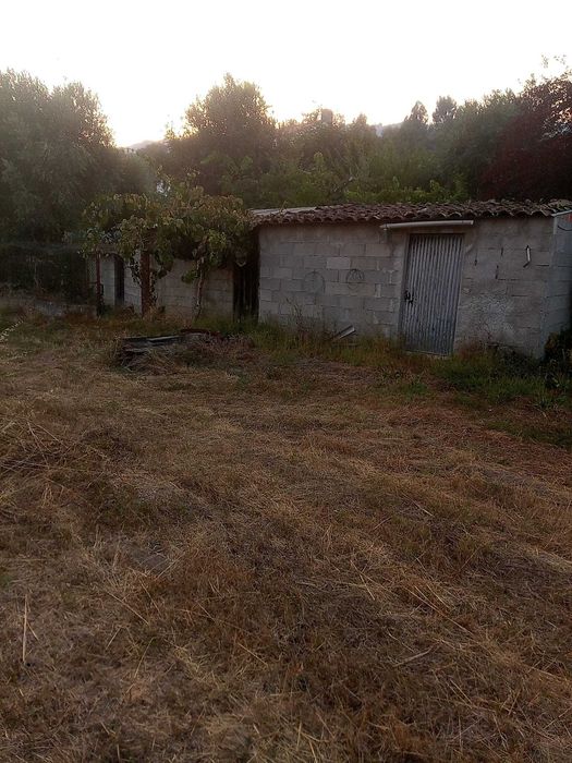 VENDA de uma pequena  QUINTA