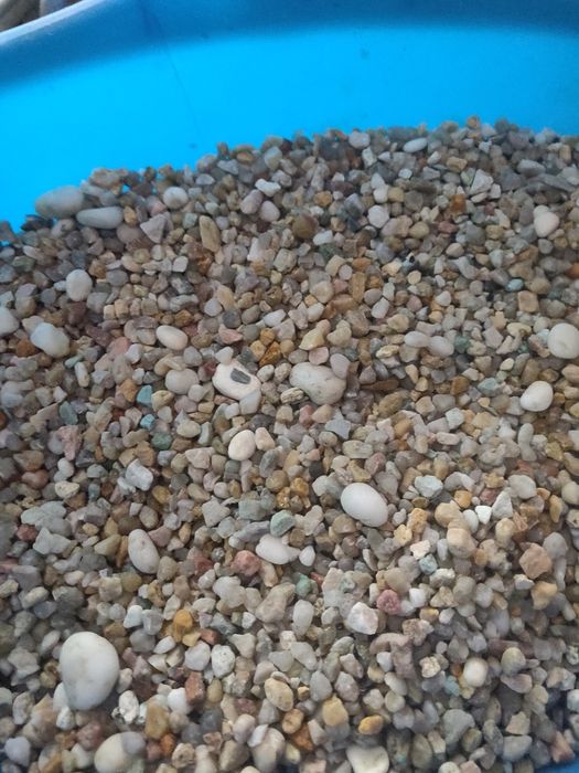 Pedras aquário (65kg)