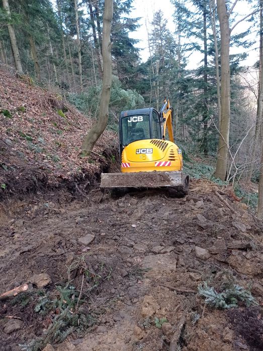 Usługi leśne , Ścinka, zrywka drzew, skup drewna cała Małopolska