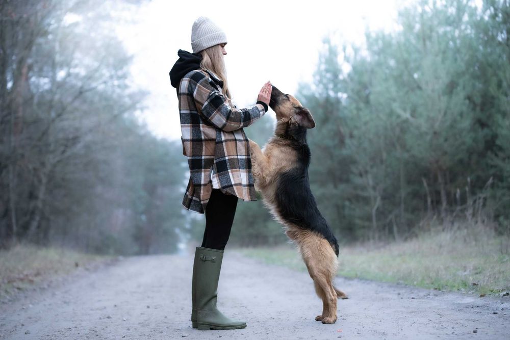 CHITON - młody i energiczny przystojniaczek