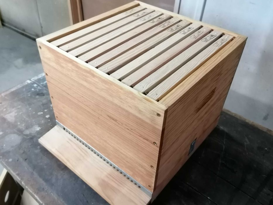 Ninhos Lusitanos - Abelhas