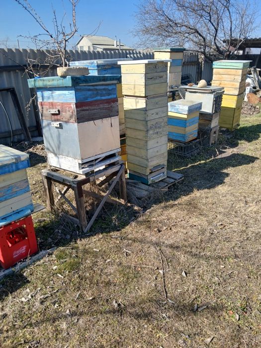 Продам альпийский вулик,а також ізолятор для маток  на 300