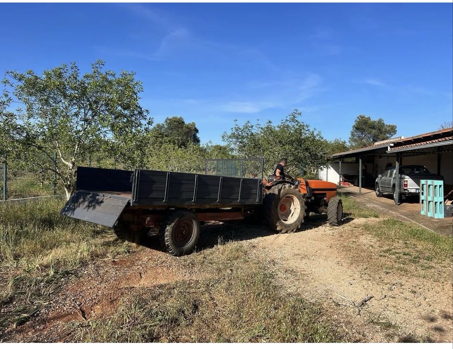 Escavações limpezas terrenos desmatações