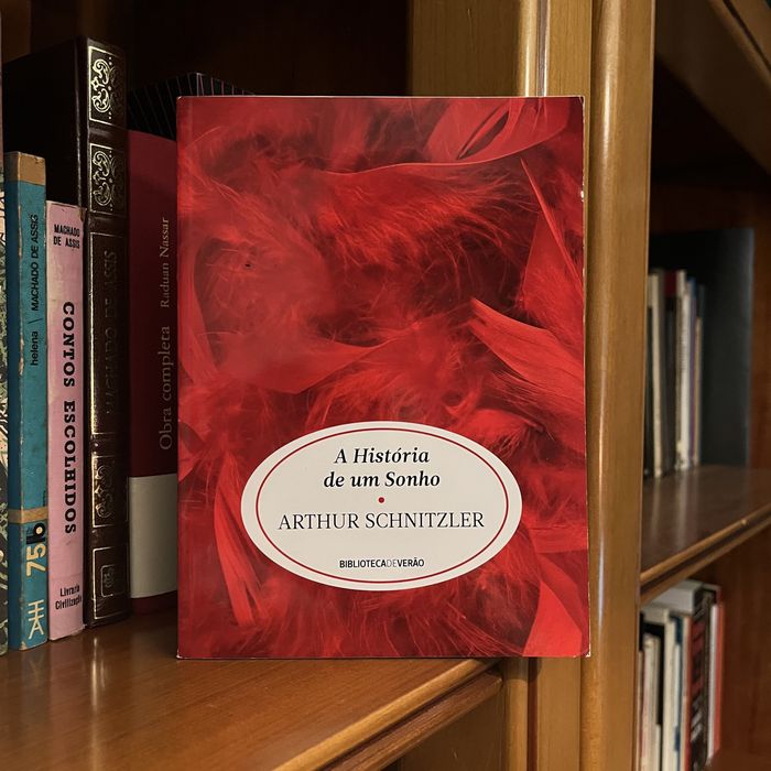 Arthur Schnitzler - The Story of a Dream (free shipping)