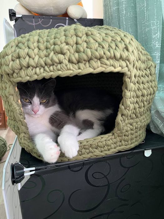 Дом, лежанка, для кота или собачки