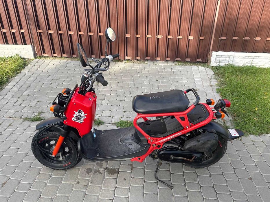 Honda Zoomer 50сс 4т: 800 $ - Мопеди / скутери Дашів на Olx