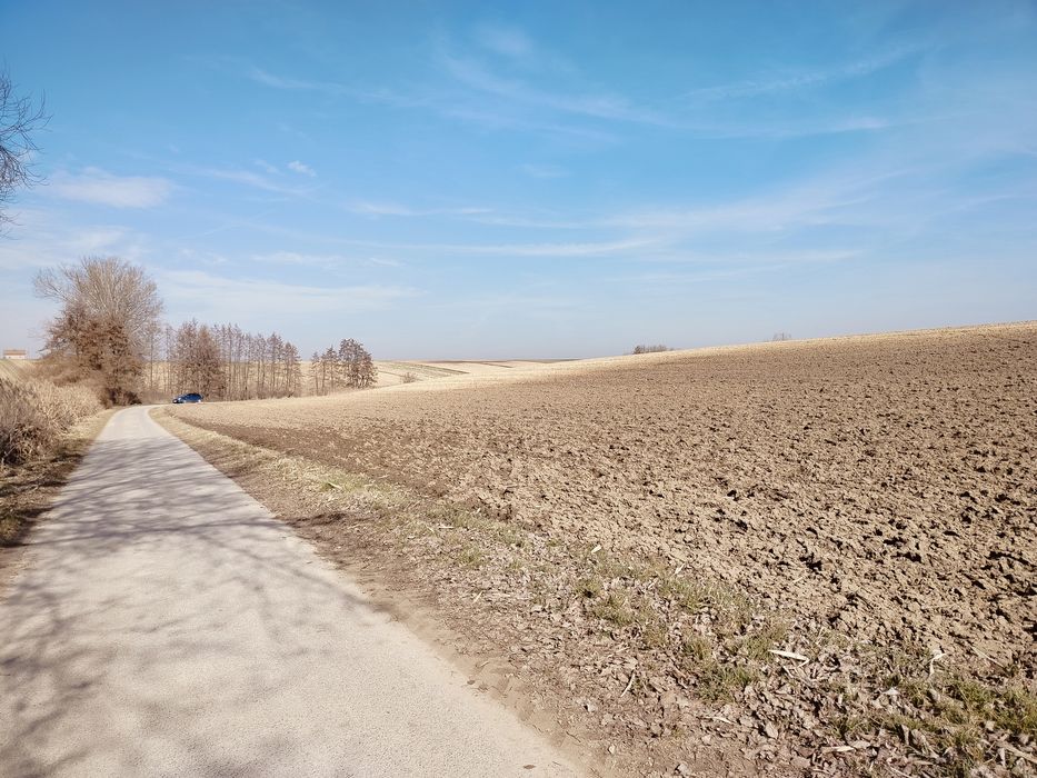 Grunty rolne 3,65 ha