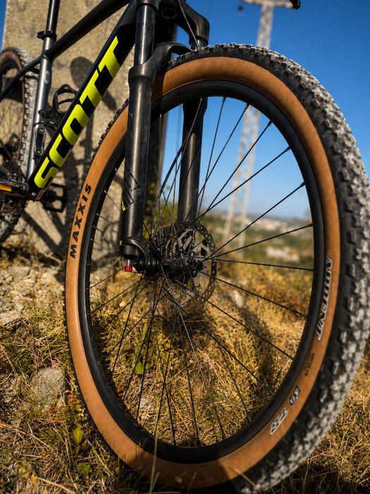 BTT Scott Scale 980 29" | Deore 12v | Tubeless | L